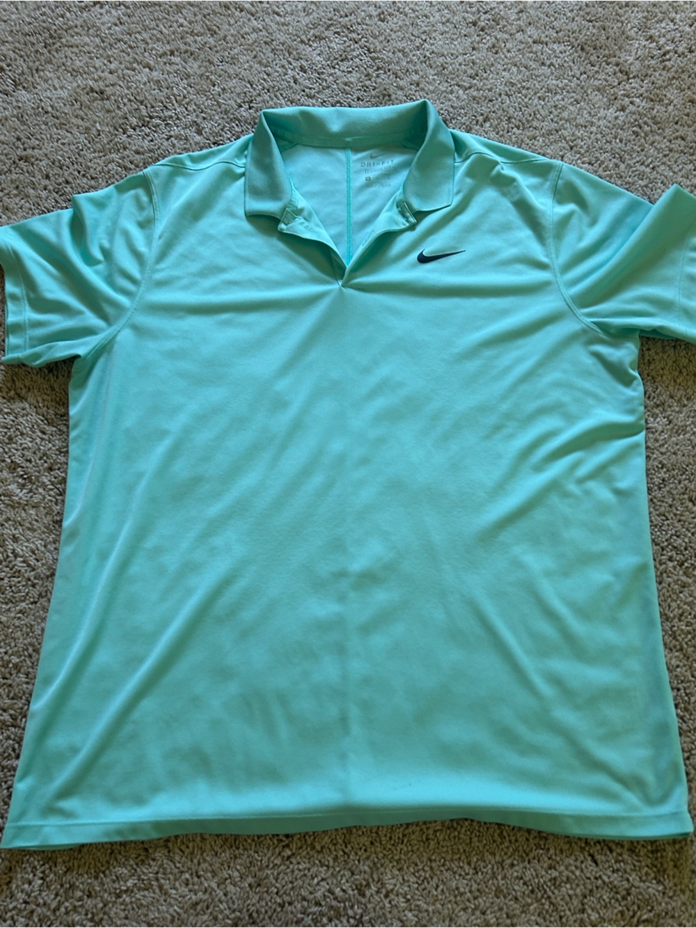 Nike Men's Mint Green Polo Shirt